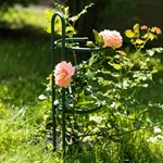 опора для растений