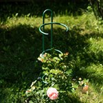 металлическая опора для садовых растений