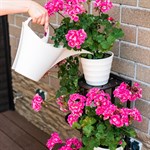 подставка для цветов