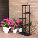 для 6-ти растений