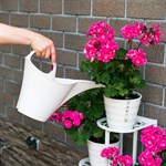 высокая стойка для растений высокая стойка для растений