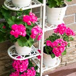 цветочница металлическая высокая на 7 растений