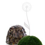 шпалера для растений