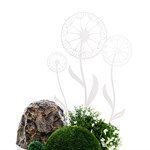 садовые шпалеры садовые шпалеры