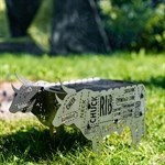 для туриста