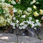 декоративное кашпо