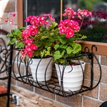 для растений