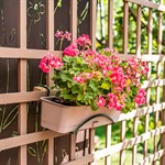 для цветов на террасе