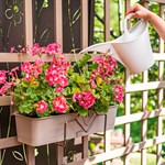 для веранды для веранды