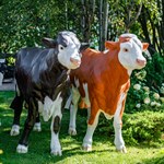 рекламные фигуры быков