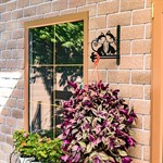 для дачи для дачи