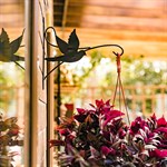 Кронштейн для цветов настенный Кронштейн для цветов настенный