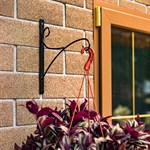 настенный кронштейн для кашпо с цветами