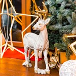 для декораций