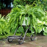 цветочница