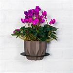 кронштейн для кашпо с цветами