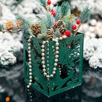 с символом года 2024