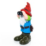 сказочный гном