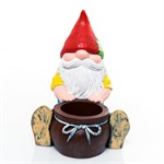 садовый гном