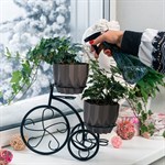 под 2 горшка