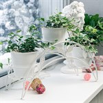 купить цветочницу купить цветочницу