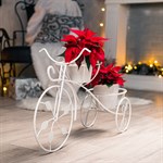 для двух растений для двух растений