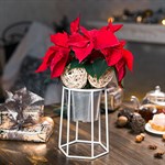 подставка 66-600 цв.белый