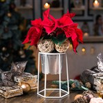 цветочница в стиле лофт