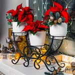 на три кашпо