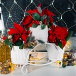 для трех растений