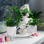 на подоконник