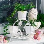 для растений