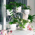 цветочница на 5 растений