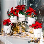 подставка на семь растений