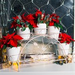 подставка 14-917