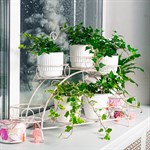 14-917 для цветов