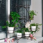 на подоконник