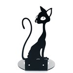 настенное крепление