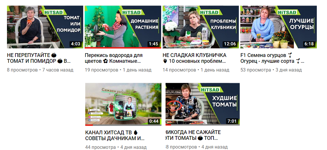 Голова Садовая 2022 Год Новые Видео